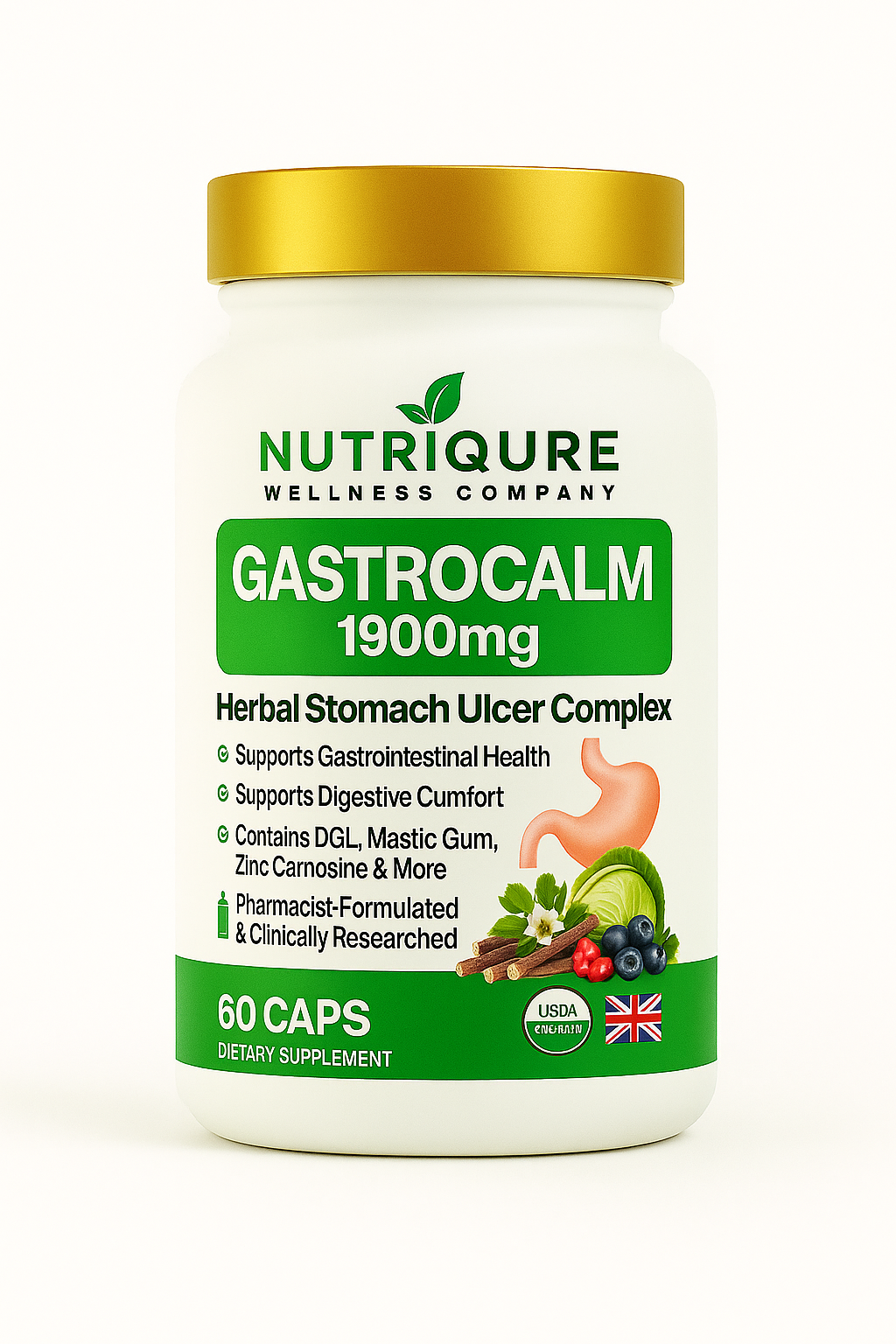 GastroCalm | Advanced GI Healing, Ulcer & H. pylori Defense Formula | 60 Capsules | 30 Servings