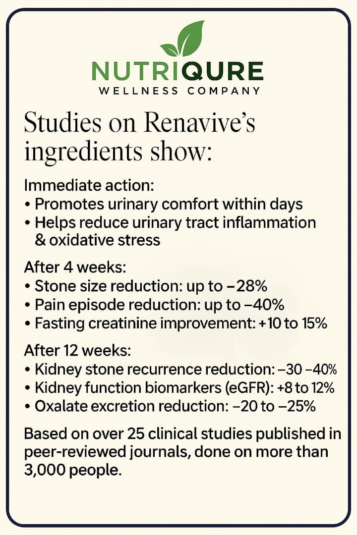RenaVive | Advanced Kidney Stone, Oxalate, and Inflammation Support Formula | 60 Capsules | 30 Servings