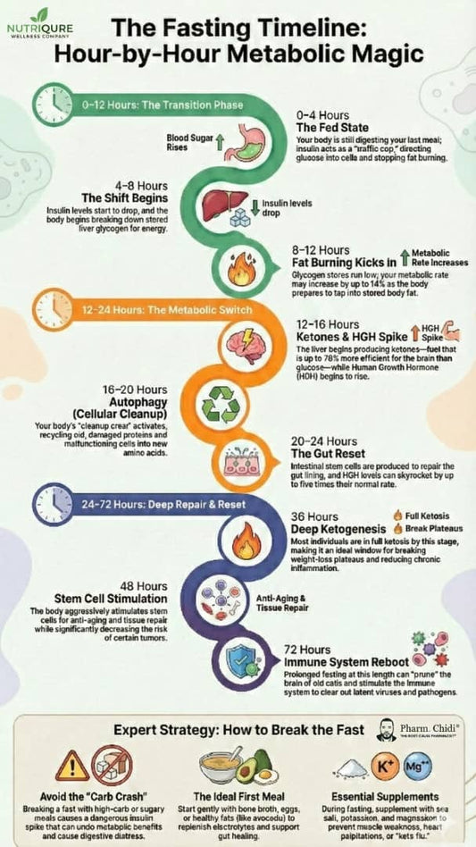 Article cover: What happens inside your body during a 24-hour fast