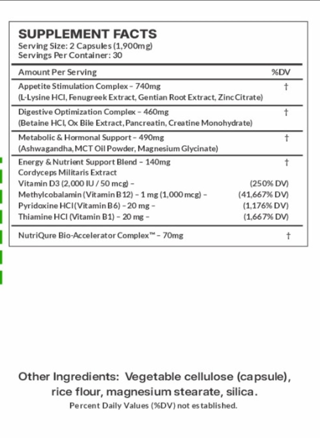 AppetUp  |  Advanced Appetite, Digestion & Weight Gain Support Formula  60 Capsules | 2 Capsules Daily | Pharmacist Formulated