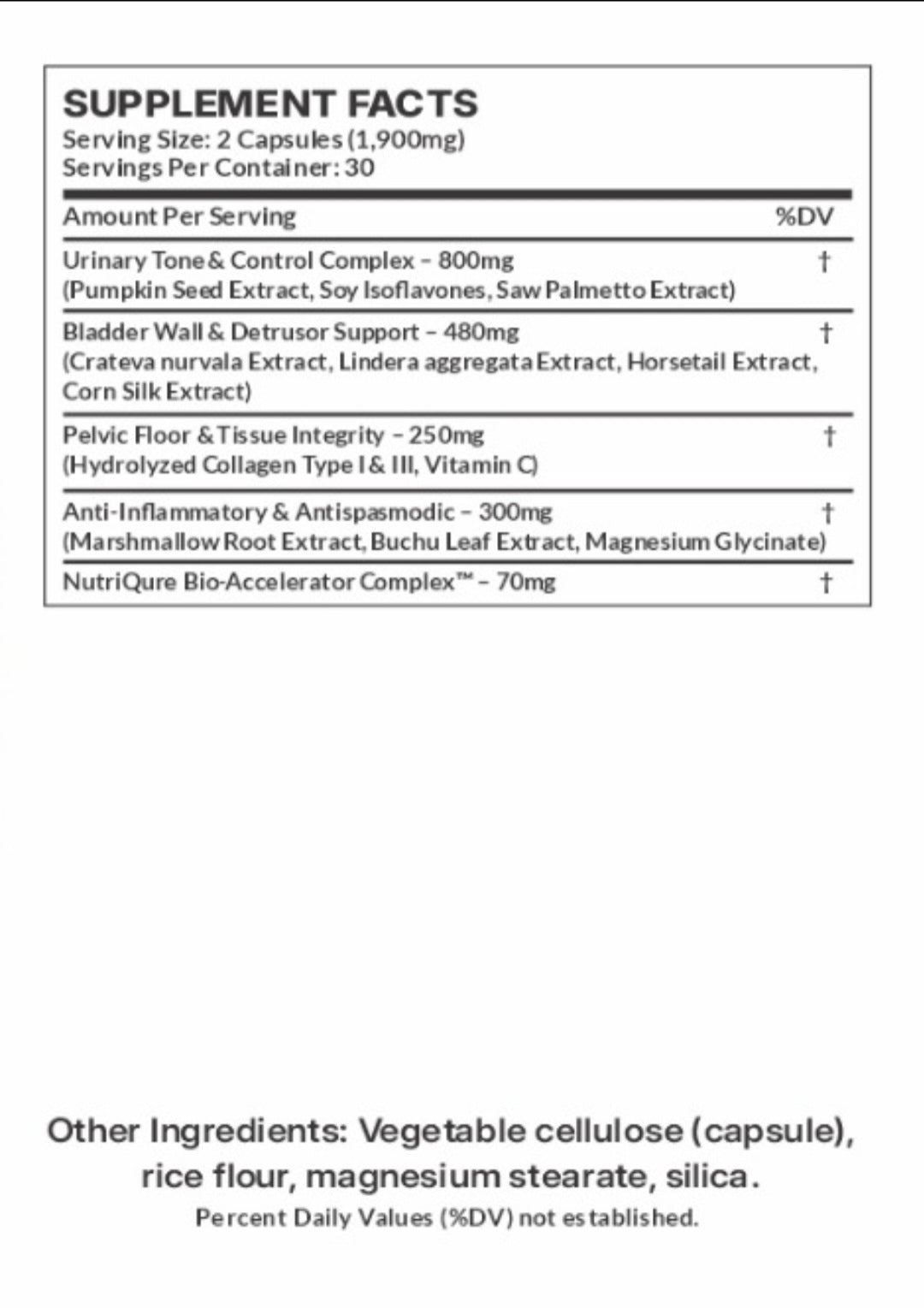Uri-Lief  |  Advanced Urinary Comfort, Bladder Strength & Pelvic Support Formula  60 Capsules | 2 Capsules Daily | Pharmacist Formulated