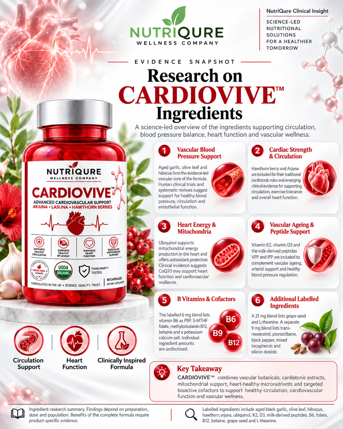 CARDIOVIVE ingredient research infographic showing the product bottle and an overview of its ingredients and research themes.