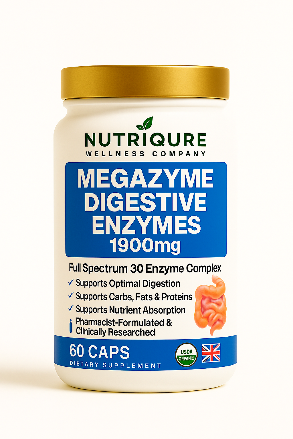 MegaZyme |  Advanced Digestive Enzyme & Gut Comfort Formula 60 Capsules | 30 Servings | 1,900mg Total