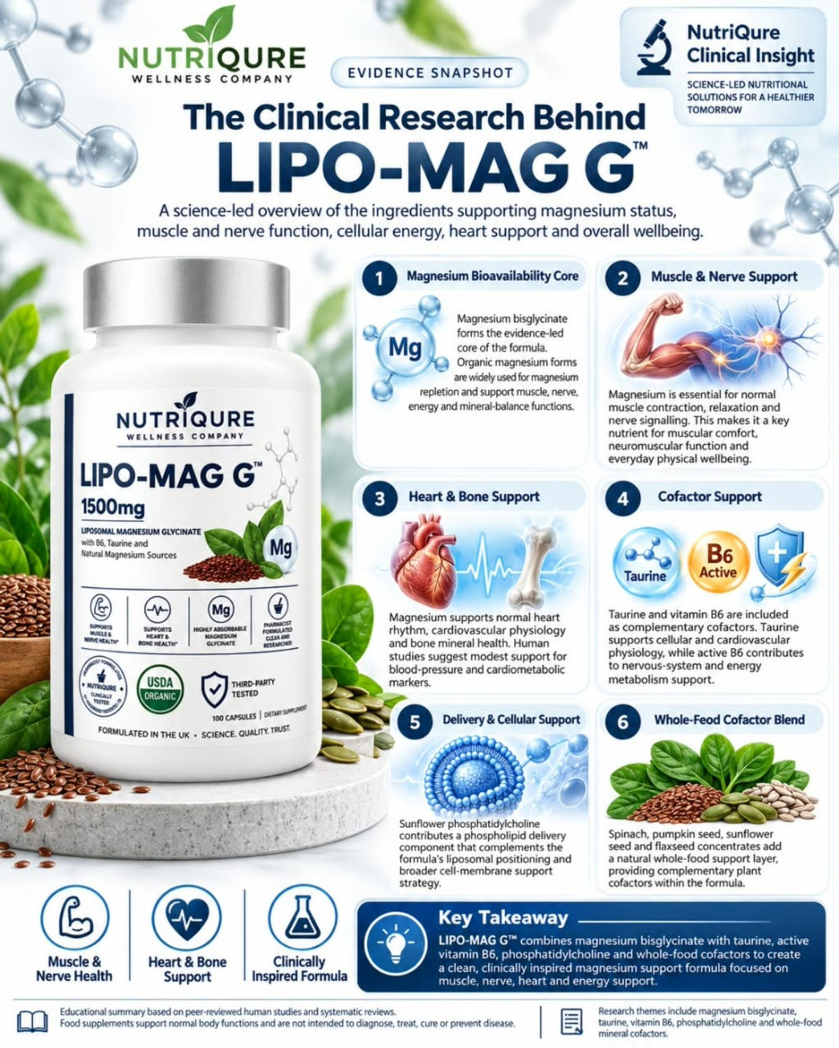 LIPO-MAG G ingredient research infographic showing the product bottle and an overview of its ingredients and research themes.