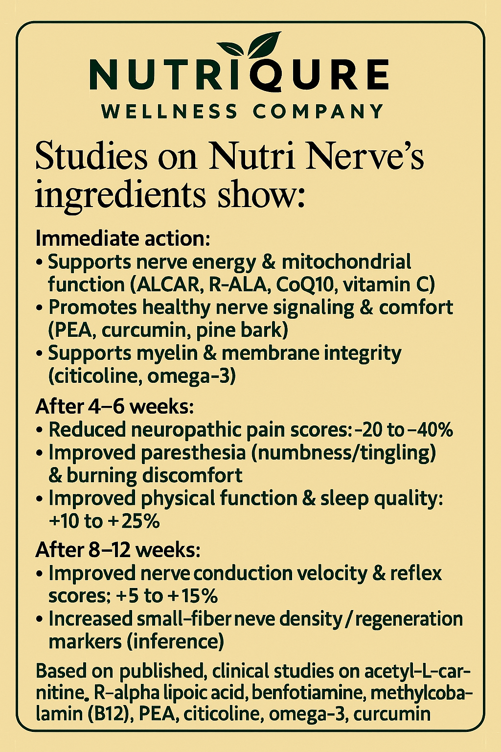 Nutri Nerve  |  Comprehensive Nerve Repair & Neuropathy Support Formula 60 Capsules | 30 Servings | 1,900mg Total